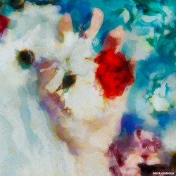 Наслаждение расцветом