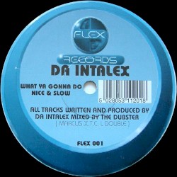 What Ya Gonna Do / Nice & Slow