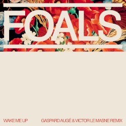 Wake Me Up (Gaspard Augé and Victor Le Masne remix)