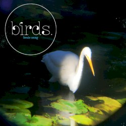 Birds.