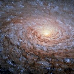 M63