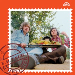 Ovoce z naší zahrádky