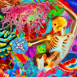 Calcified Rectalplasm