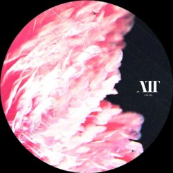 The Anatomy Of Thought Ep