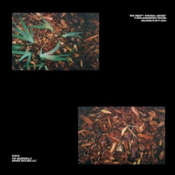 Bad Vibes: Rarities + Extras