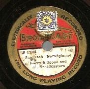 Scottisch Norvégienne / La belle scandinave