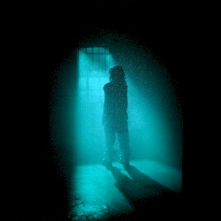 Fallen Angel (speed)