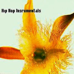 Hip Hop Instrumentals