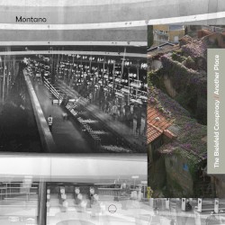 The Bielefeld Conspiracy / Another Place