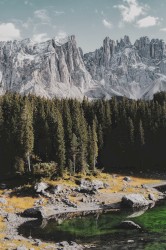 New Beginnings and Reflections, Volume 2