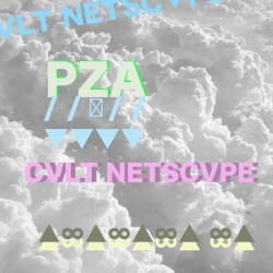 CVLTNETSCVPEルト ネットス ケープ