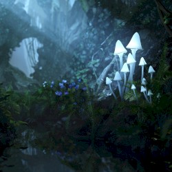 Mysterious Forest Sounds | Fantasy Nature Ambience