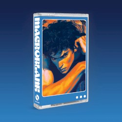 ファイナルロデオ