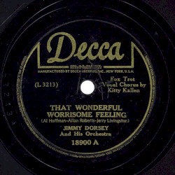 That Wonderful, Worrisome Feeling / The Way That the Wind Blows