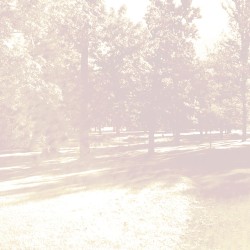 Path of Virtue