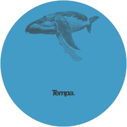 Echo Dub / Chain Reaction