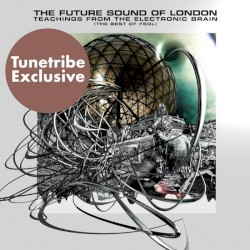 Teachings From the Electronic Brain: The Best of FSOL