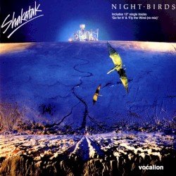 Night Birds