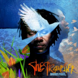The Traveller