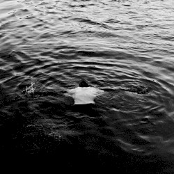 Rudeboy Design Soundtape