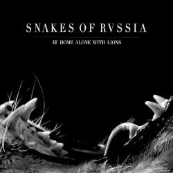 At Home Alone With Lions