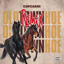 Old Town Hoe (Old Town Road remix)