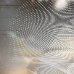 孤立: Room Memoirs