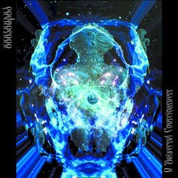 A Universal Consciousness