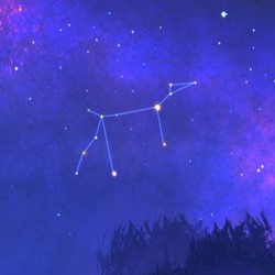 Canis Major