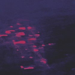 Motionless, Watching You