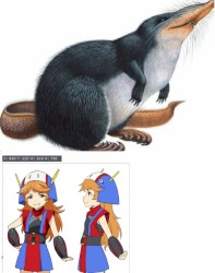 2 Files Were Deleted