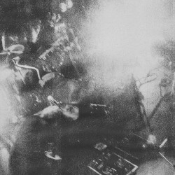 Live im Elfenbeinturm