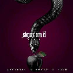 Sigues con él (remix)