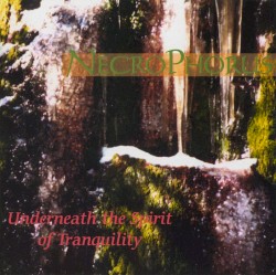 Underneath the Spirit of Tranquility