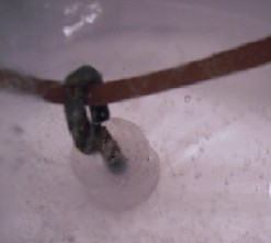 Untitled (Frozen Loop)