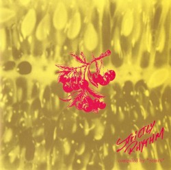 Strictly Rhythm (Fruits Of Music)