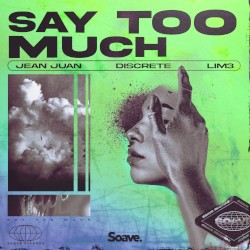Say Too Much