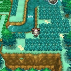 tapes from the orchard