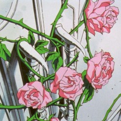 thorns