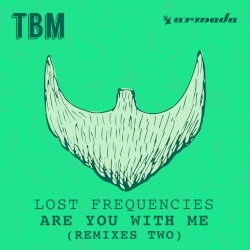 Are You With Me (Remixes Two)