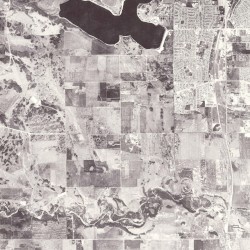 Everyone Is So in Love With You