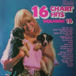 16 Chart Hits, Volume 16