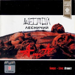 Шестой лесничий