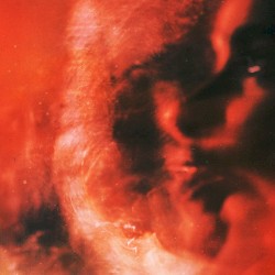 Sadie Wants the Night