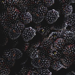 Бесконечный трепет цвета (Увядание)