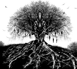 For Wolves and Vultures