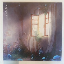 Inaudible / Invisible