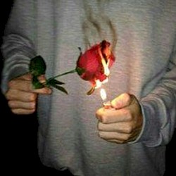 Dark Dreams