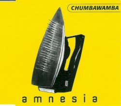 Amnesia