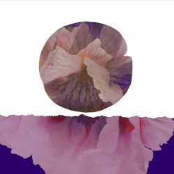 Live at Terrastock 2006